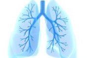 26.08.2015 - Patientenseminar 26.08.2015 - Patientenseminar