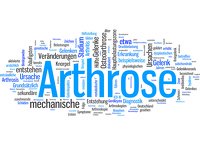 MEDIZIN im PueD MEDIZIN im PueD